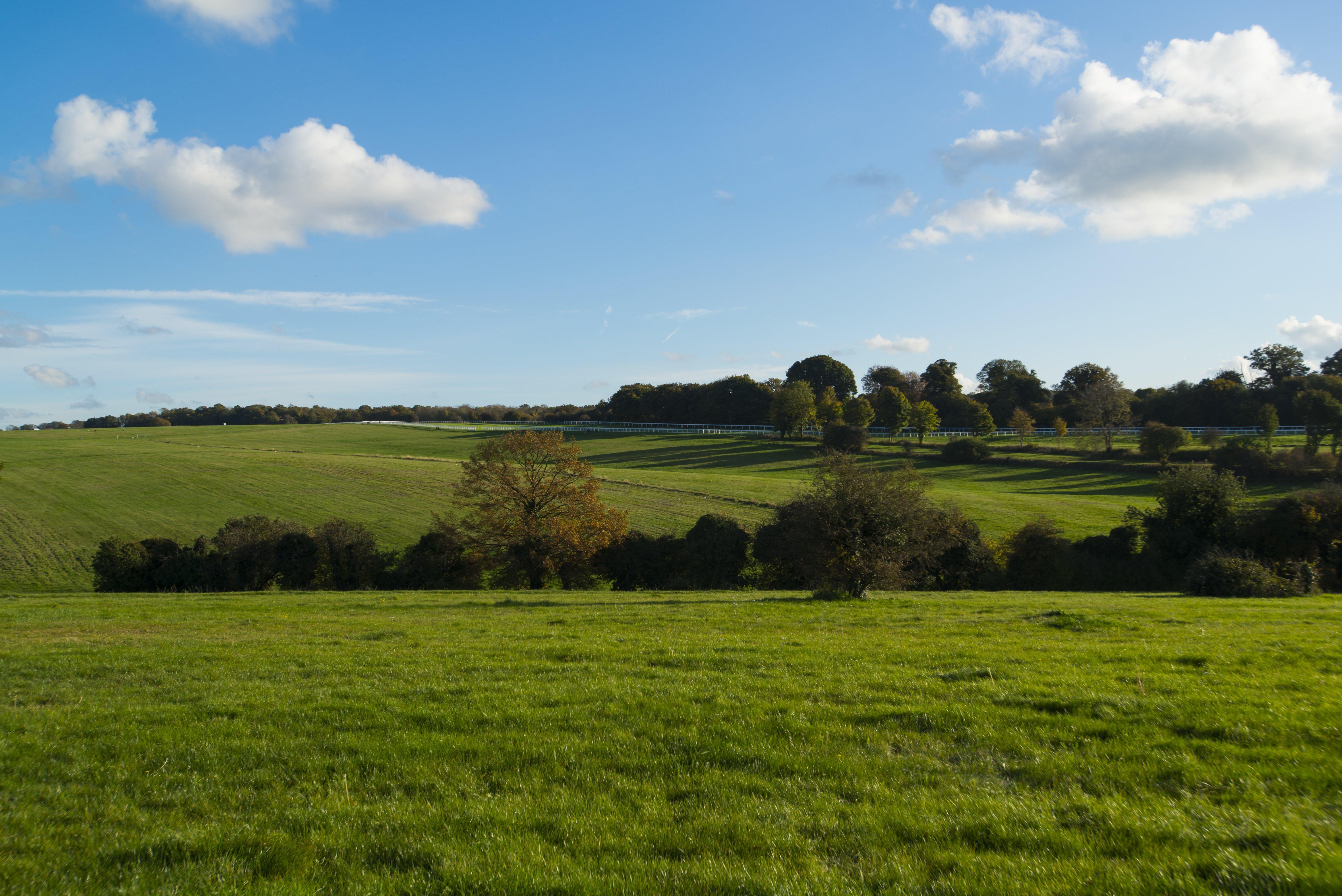 Holiday Inn Express London - Epsom Downs By Ihg Экстерьер фото